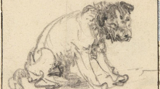Image of Dog drawing re-attributed to Rembrandt